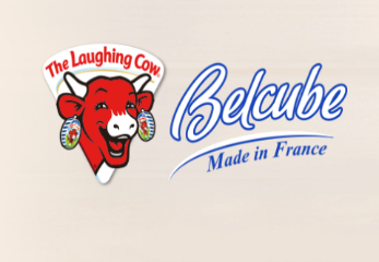 BELCUBE